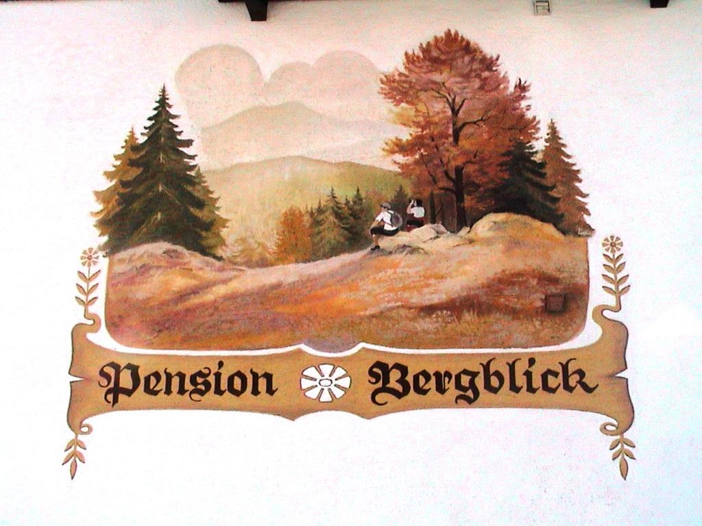 Pension Bergblick Bayerisch Eisenstein Exterior foto